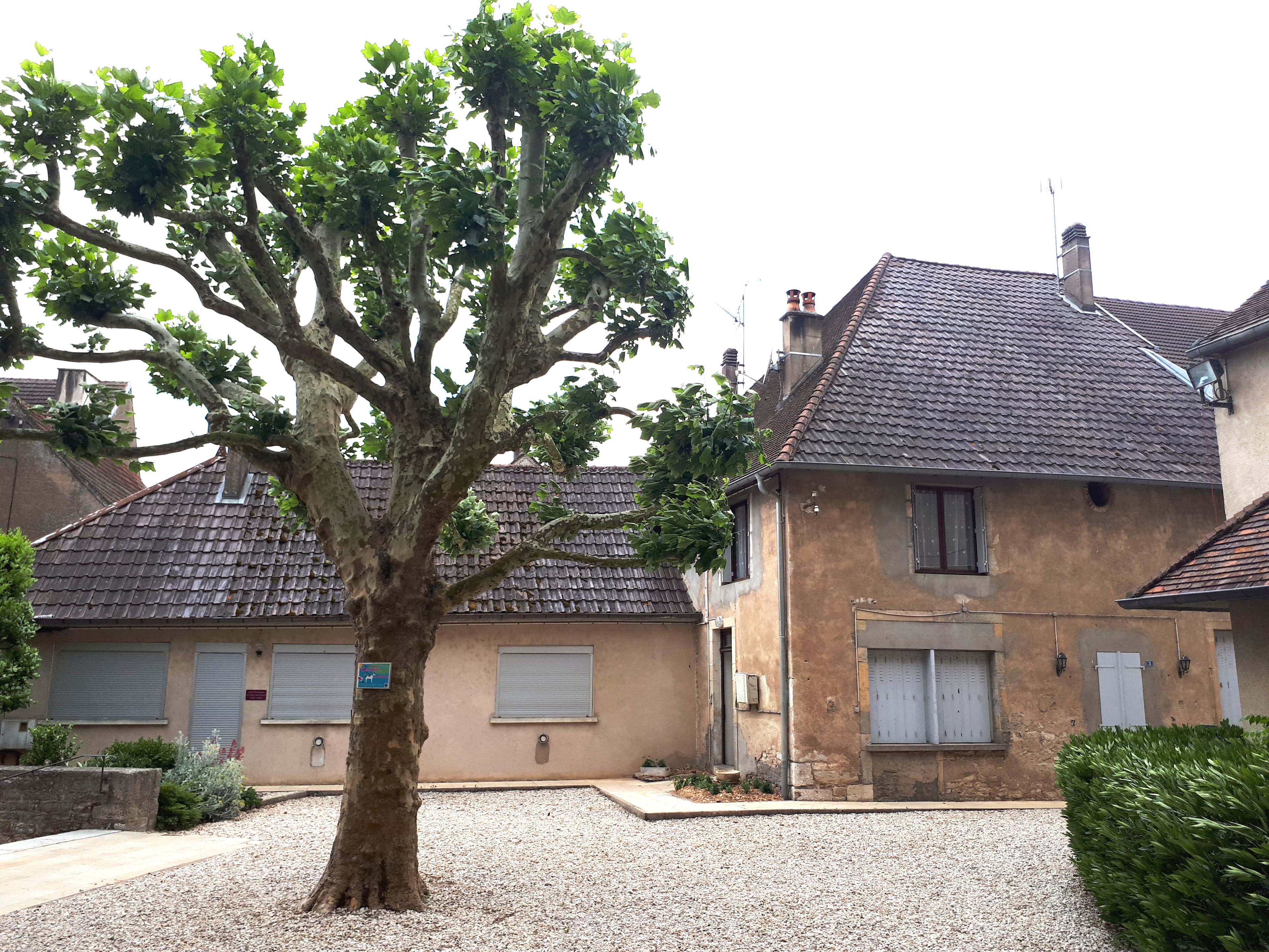 Gîte de Compostelle à Marnay — photo 1 sur 4